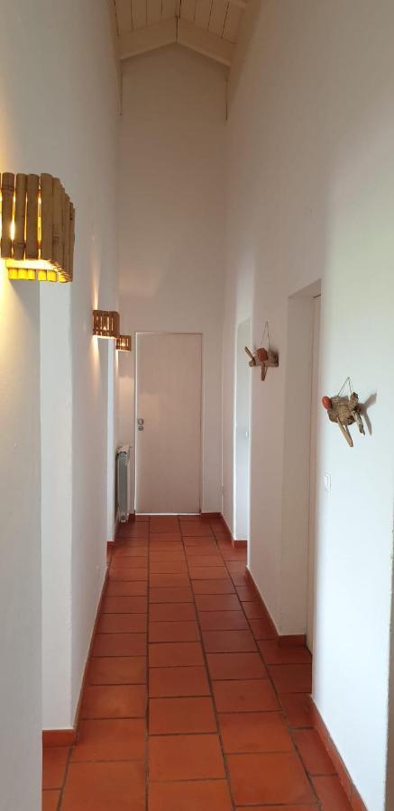 Comporta House Villa Bagian luar foto